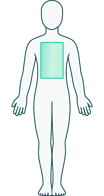 Back region highlighted on a body diagram